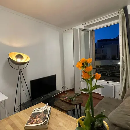 Cozy Parisian Flat In 15th Arr פריז