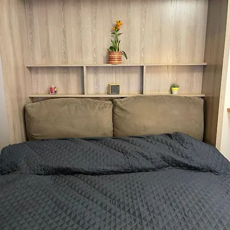 דירה Cozy Parisian Flat In 15th Arr פריז