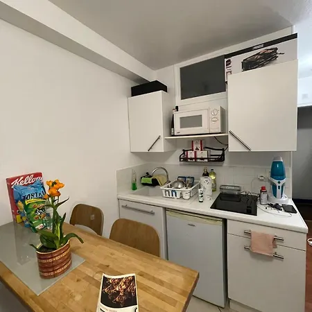 Cozy Parisian Flat In 15th Arr פריז