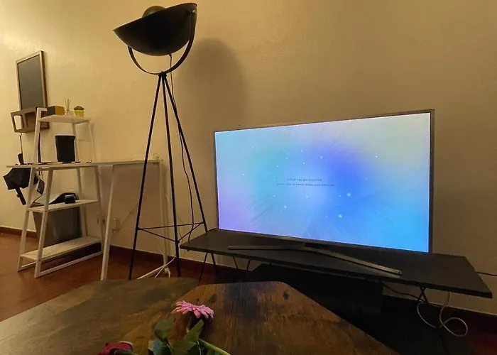 Cozy Parisian Flat In 15th Arr Daire