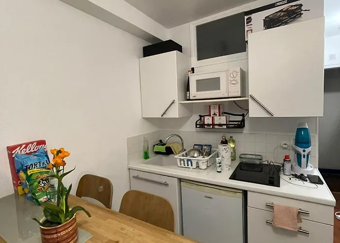 Cozy Parisian Flat In 15th Arr Paris