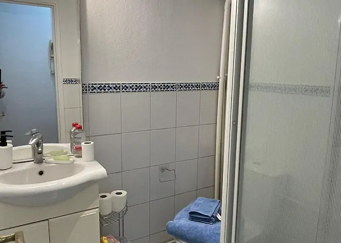 Cozy Parisian Flat In 15th Arr Lejlighed